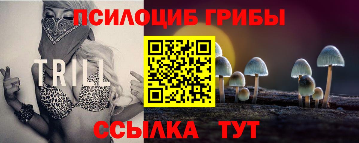 Коркино  Псилоцибиновые грибы GOLDEN TEACHER  Вход с VPN 